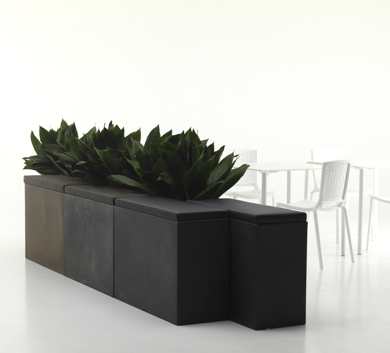 Flora